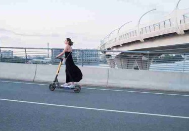 鉴黄师官网——盈利路径流量密码必读