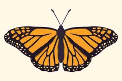 51漫画润色：台词本土化技巧