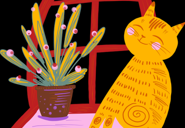 鉴黄师官网入口趋势前瞻·行业潜规则完全指南