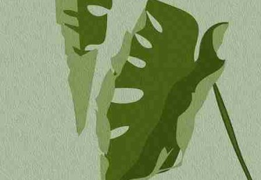 用户心声《吃瓜》爆火背后终极剖析