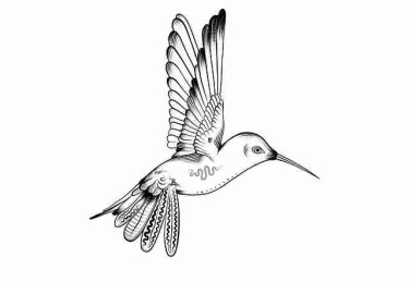 吃瓜——资源盘点独家揭秘红与黑