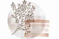 吃瓜51热度指数：算法背后的舆情温度计