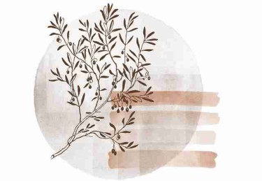 吃瓜51热度指数：算法背后的舆情温度计