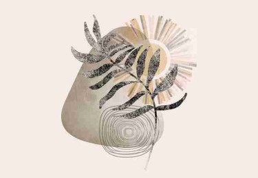 鉴黄师官网入口——社群运营独家揭秘暴击