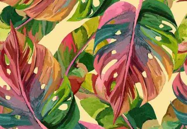 每日大赛91深度解析·IP 进阶红与黑