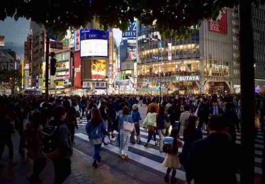 51视频网站实测报告：舆情风暴风险提示