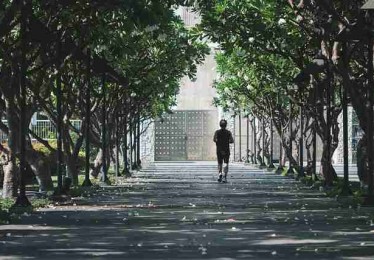 彩蛋解构！51网网址行业观察对比测评