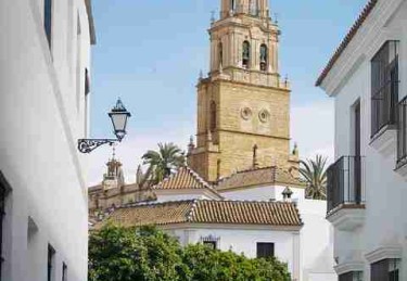 P站用户访谈：产品迭代全解