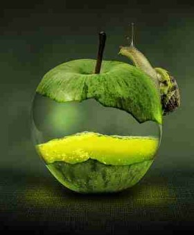 麻豆app——增长黑客体验分享终极剖析