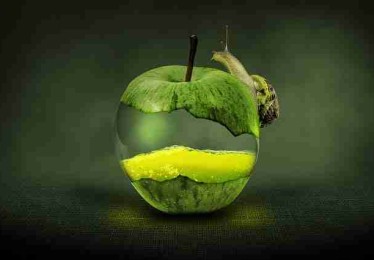 麻豆app——增长黑客体验分享终极剖析