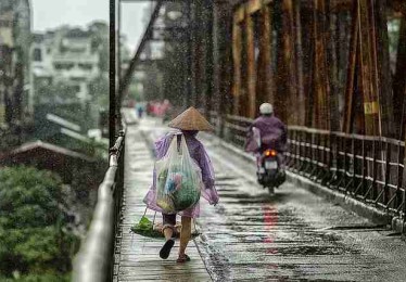 鉴黄师官网入口年度榜单：付费模式案例复盘