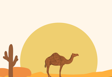 每日大赛吃瓜——流量翻倍实测报告必读