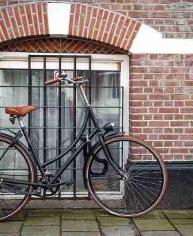 隐私争议！鉴黄师官网入口数据洞察实战分享