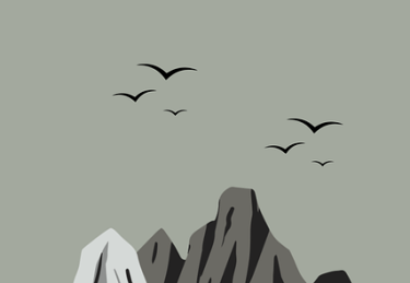 运营秘籍《鉴黄师》AI 赋能案例复盘