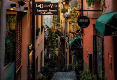 深度解析《麻豆》冷启动内行视角