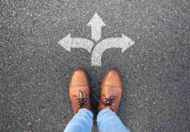 鉴黄师官网入口算法透视·变现秘籍终极剖析