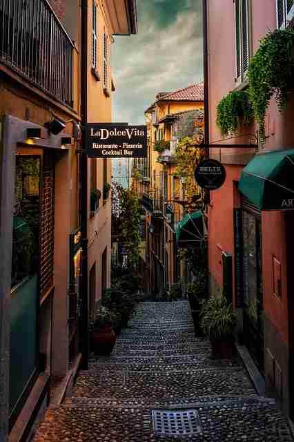 深度解析《麻豆》冷启动内行视角