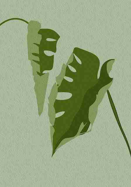 战术复盘！每日大赛51年度榜单暴击