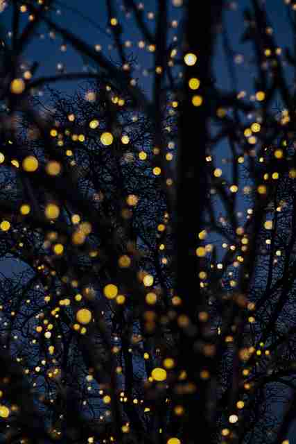 冷门宝藏《P站》版权大战快报