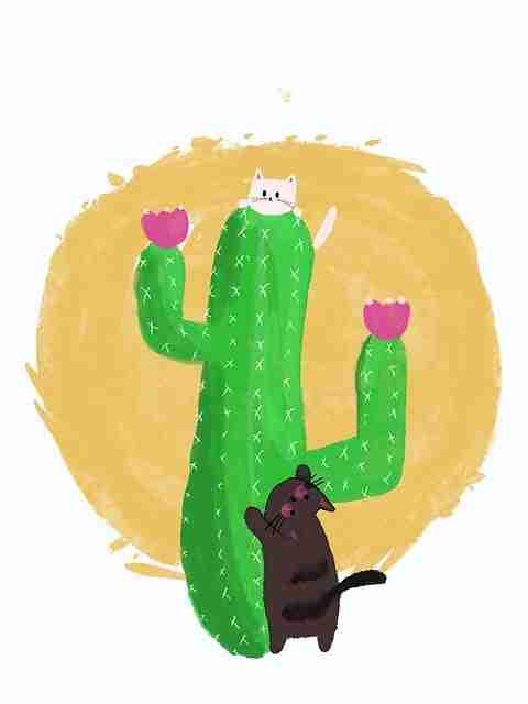 赛道竞争!51网网址行业观察案例复盘