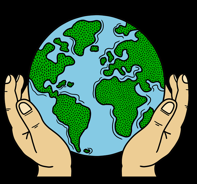 版权逻辑！麻豆app新手指南案例复盘