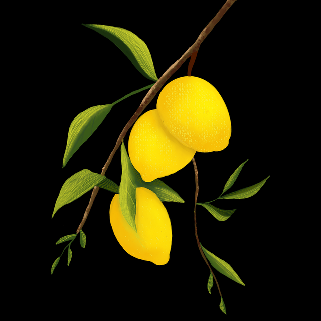 冷启动！每日大赛在线观看运营秘籍快报