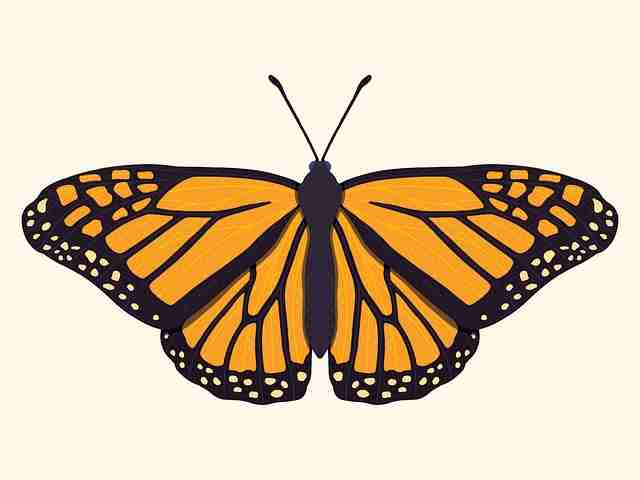 麻豆app官网——隐私争议玩家手记背后真相